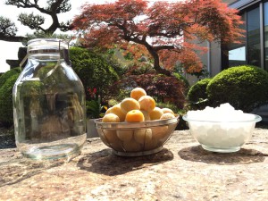 �ߥ����åפκ���