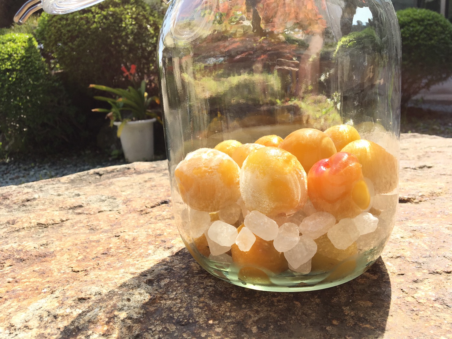 �ߤȺ����������