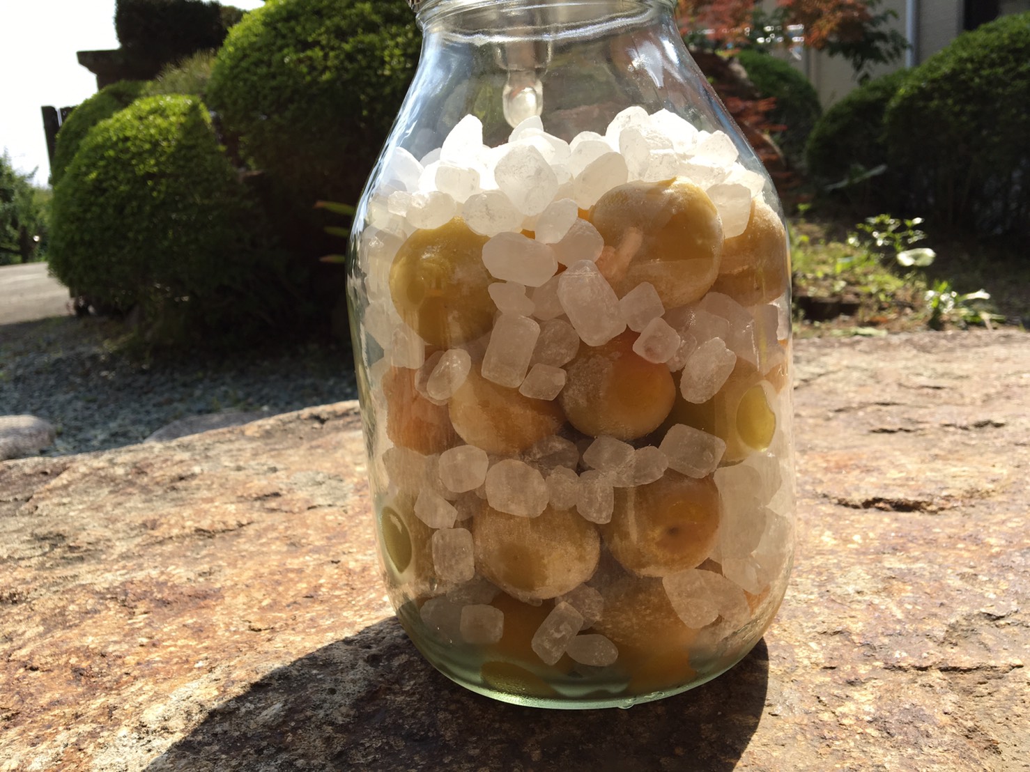 �����ǻž夲��