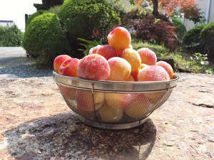 ������ߤ��ߥ����å�