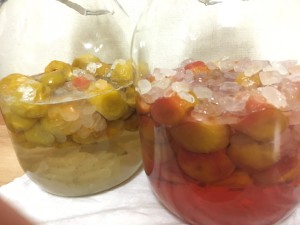 �ߥ����å�1����