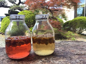 �ߥ����å�1���ָ�